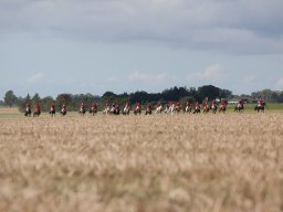 web-6845_web